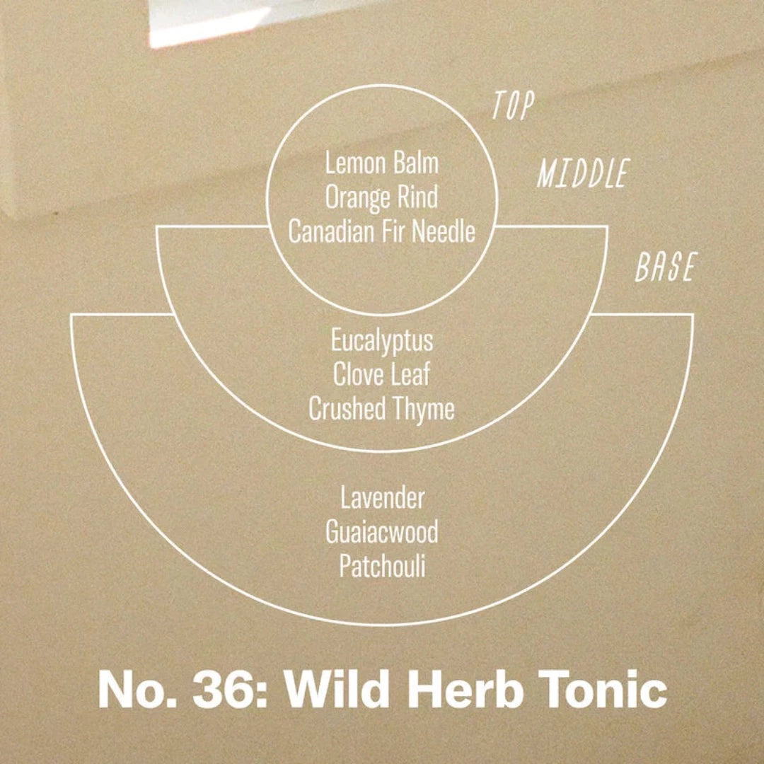 Wild Herb Tonic, 3.5 oz Reed Diffuser